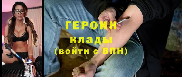 гидра Вязьма