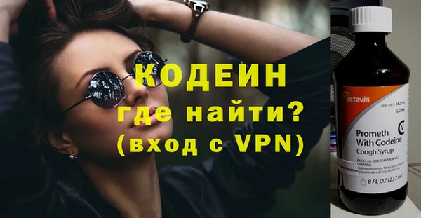 гидра Вязьма