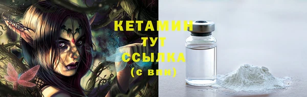гидра Вязьма