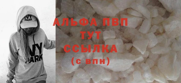 гидра Вязьма