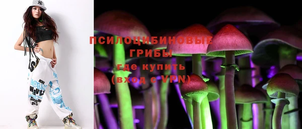 бошки Вяземский