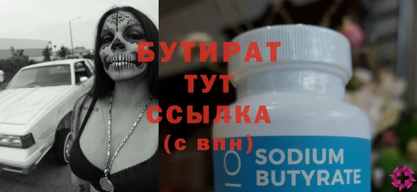 гидра Вязьма
