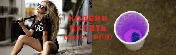 гидра Вязьма