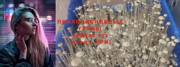 бошки Вяземский
