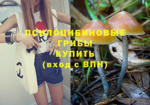 бошки Вяземский
