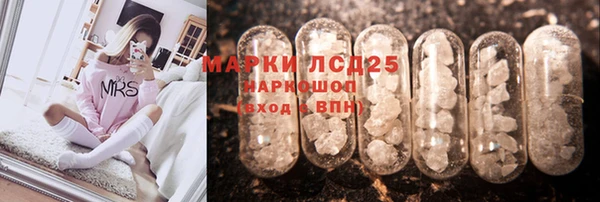 гидра Вязьма