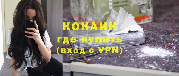 гидра Вязьма