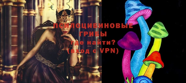 бошки Вяземский